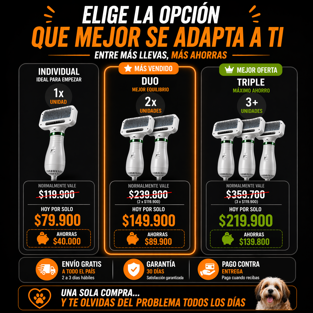 Cepillo Secador 2 En 1  Para Mascotas