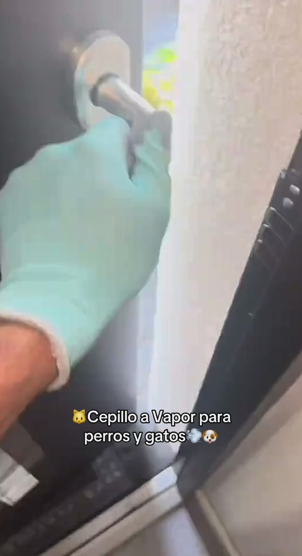 Cepillo Mascotas a Vapor