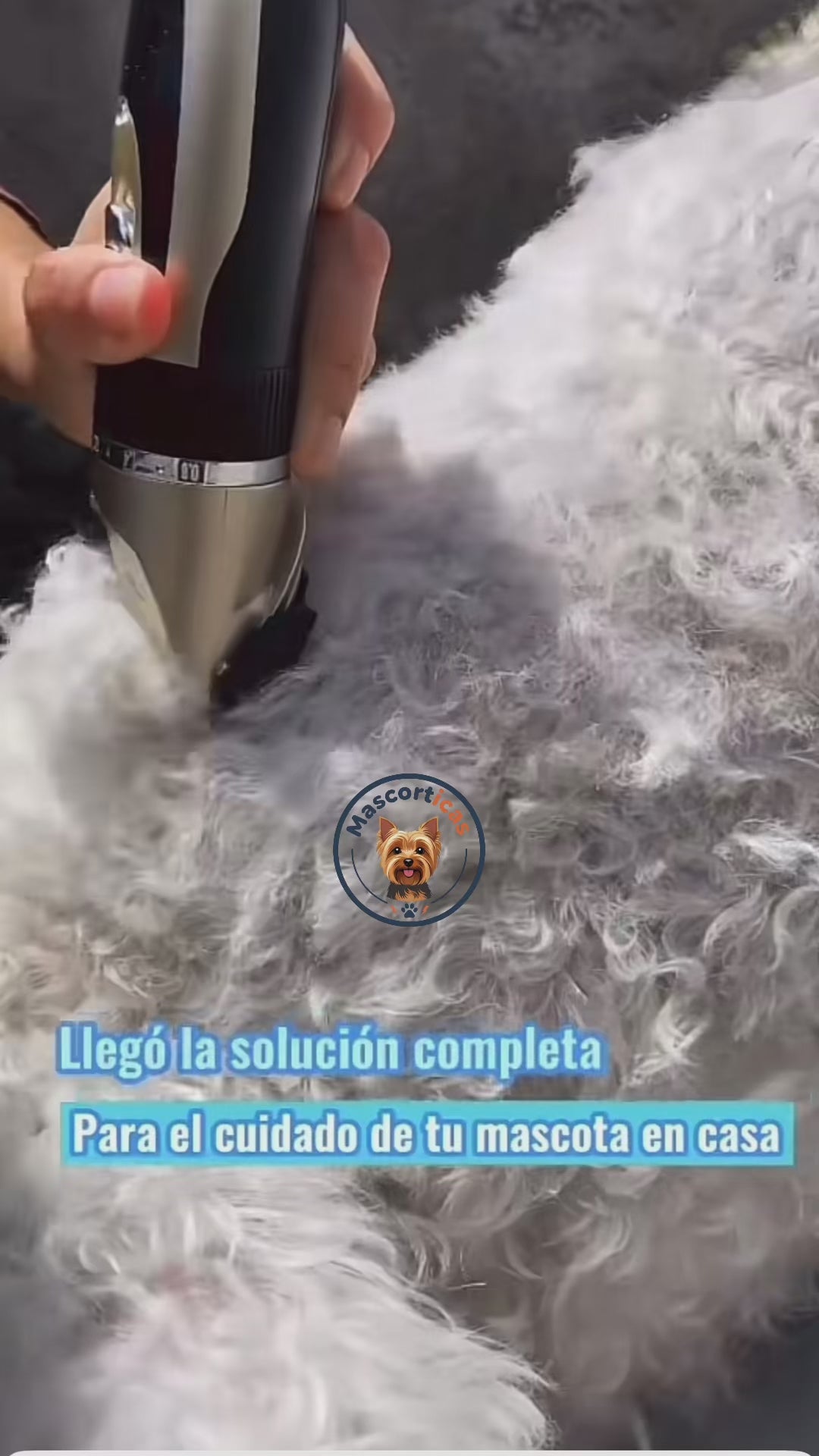 Kit Peluquería Profesional Para Mascotas