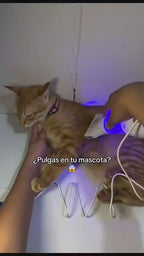 Aspirador Eliminador de Pulgas