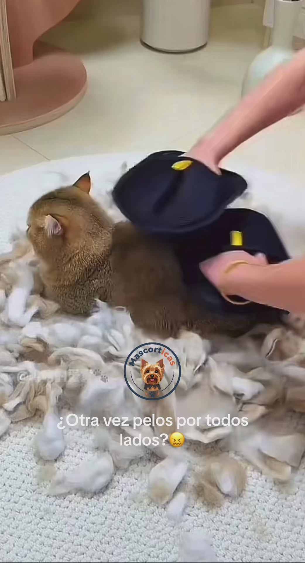 Guante Electrostático Quita Pelo